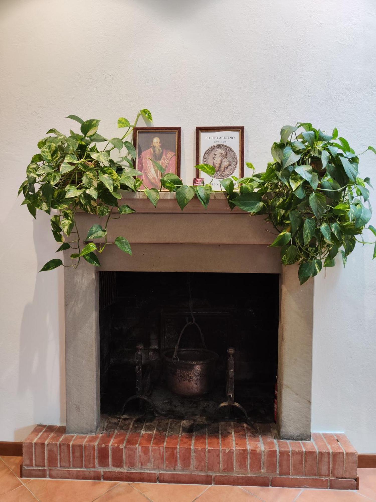 Casa Di Pietro Aretino, Arezzo Centro Storico 4-8 Letti Apartment Екстериор снимка